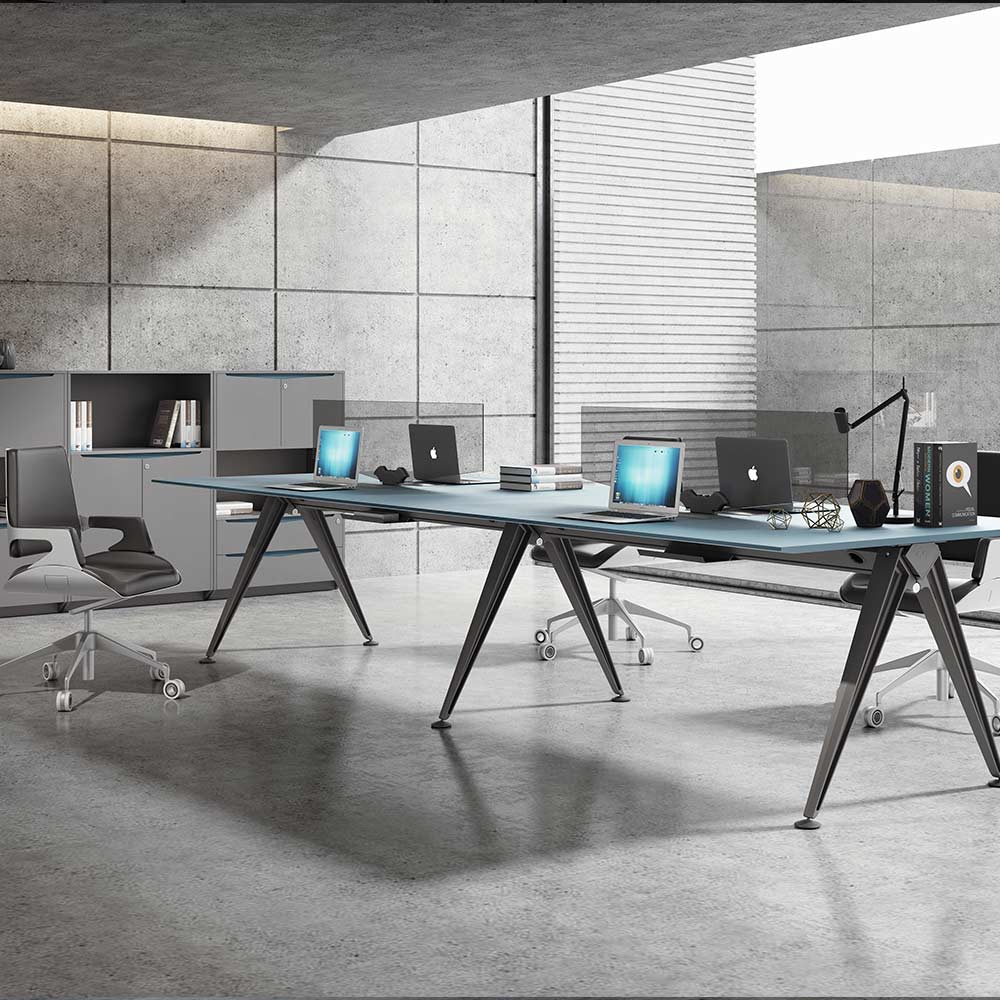 CAESER-Workstation