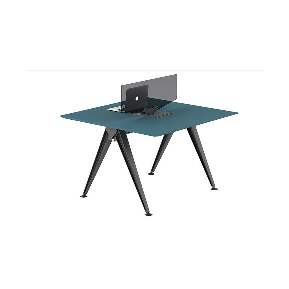 CAESER-Workstation